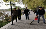 向祖國獻禮，志愿活動在行動