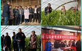 現(xiàn)代農(nóng)業(yè)技術(shù)系開展“喜迎己亥新春佳節(jié)、送科技送文化下鄉(xiāng)”主題黨日活動
